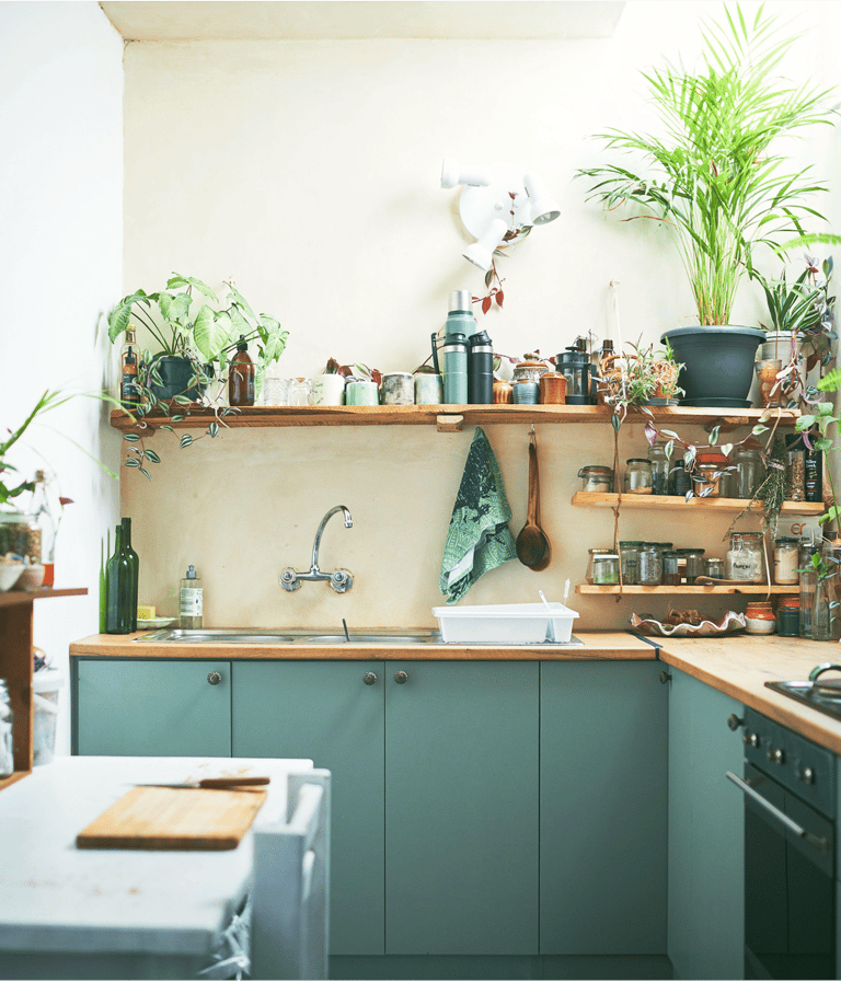 Small Kitchen Design and planters