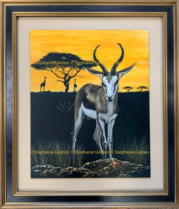 Framed African wildlife scratchboard of a springbok antelope in the twilight hours of the day.