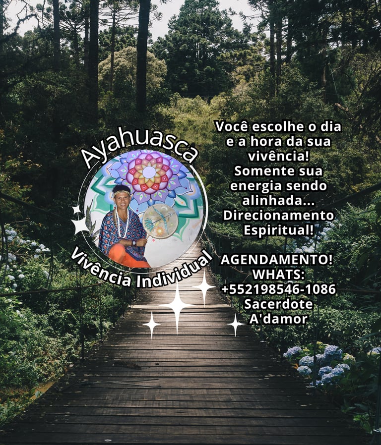 ayahuasca no rio de janeiro