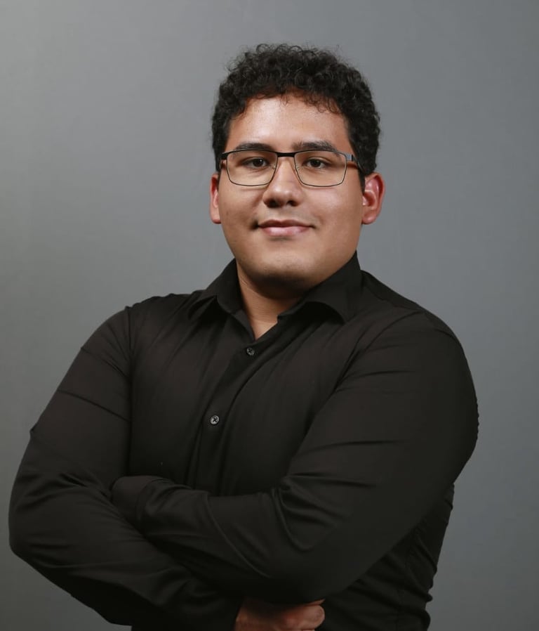 CEO o DIrector General de Stervnova