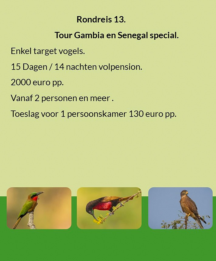 Flyer Tour 13 – 15-daagse speciale vogelfotografie Gambia & Senegal rondreis, full board, prijs vana