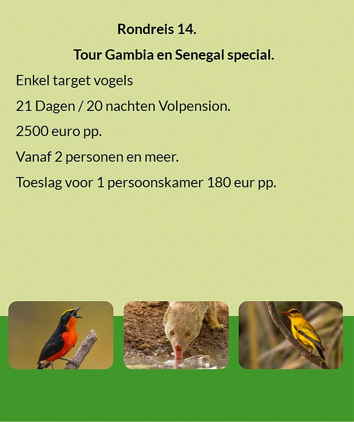 Flyer Tour 14 – 21-daagse speciale vogelfotografie Gambia & Senegal rondreis, full board, prijs vana