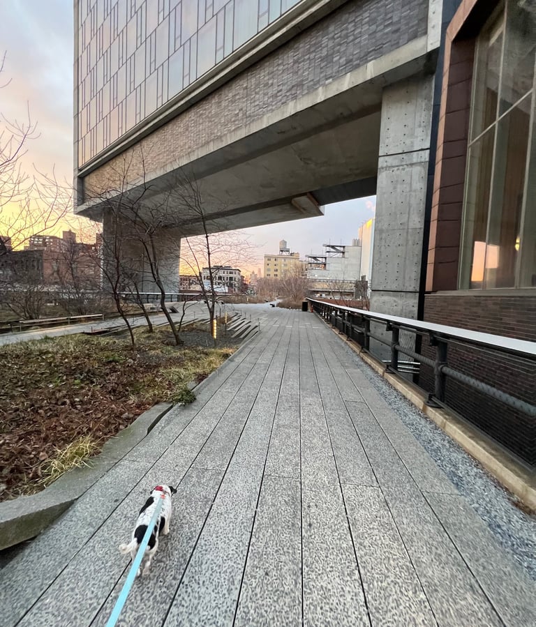 Sunrise on the High Line NYC