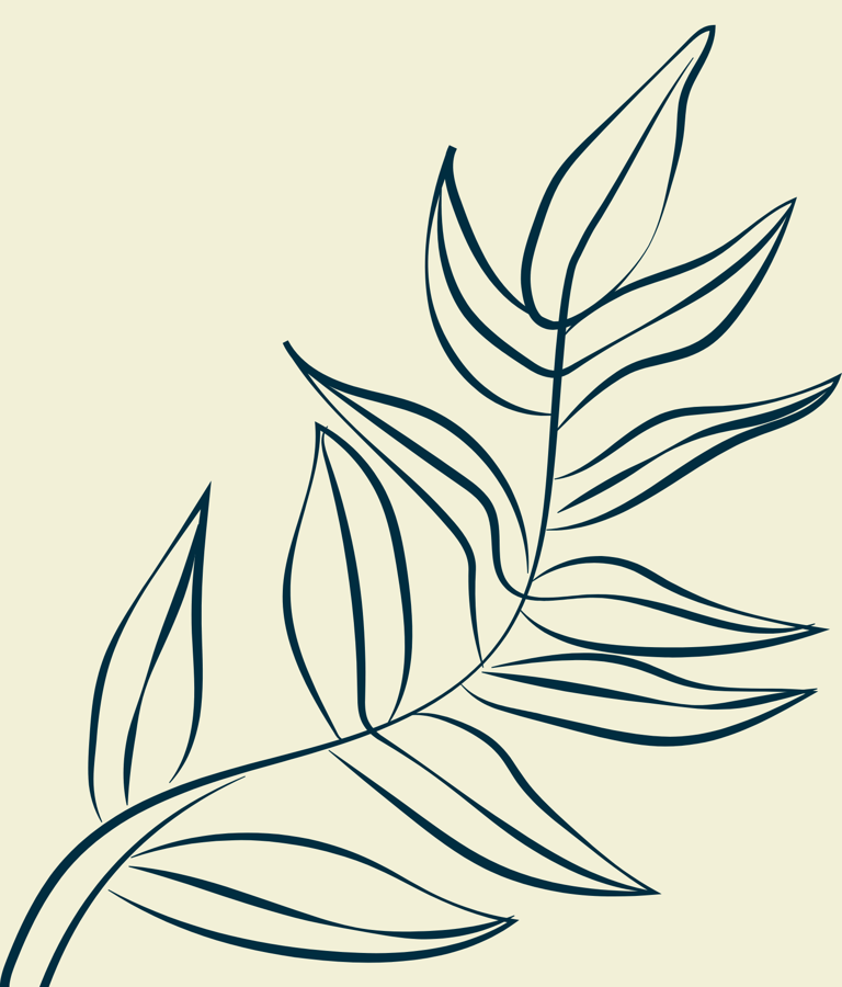 A palm tree on a light background - Our Special Universe AB