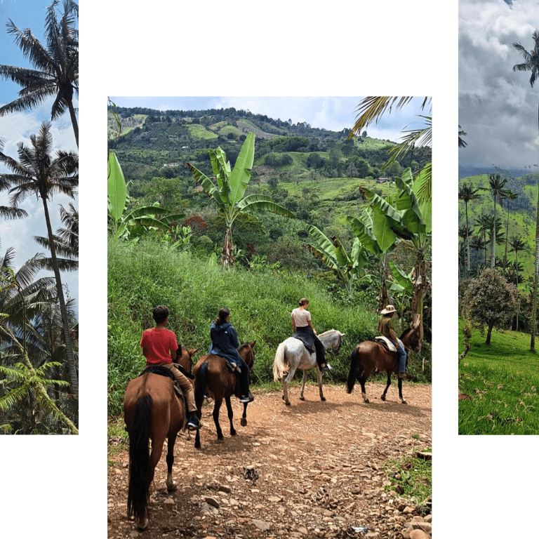 valle de la carbonera rayona