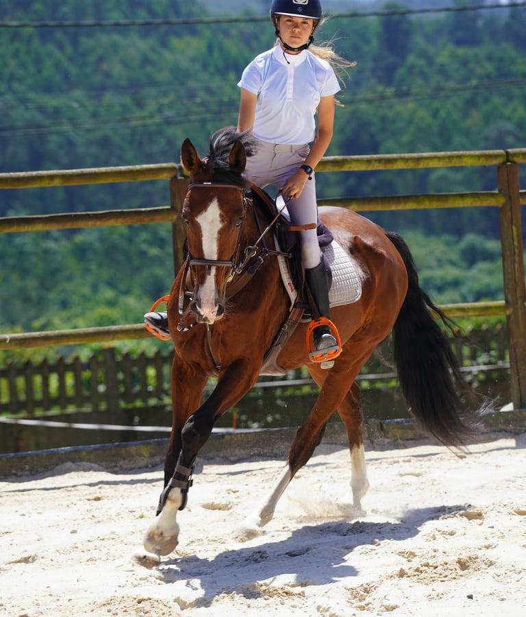 conexión con caballos