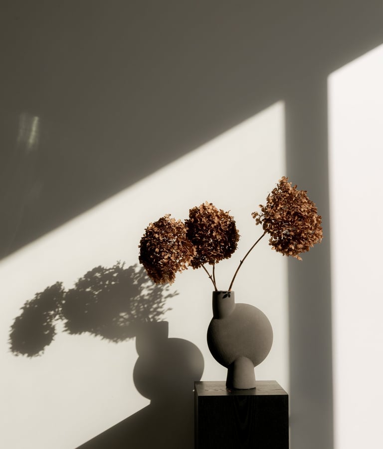Dried brown hydrangea flowers in a modern ceramic vase on a black pedestal with sunlight and shadows.