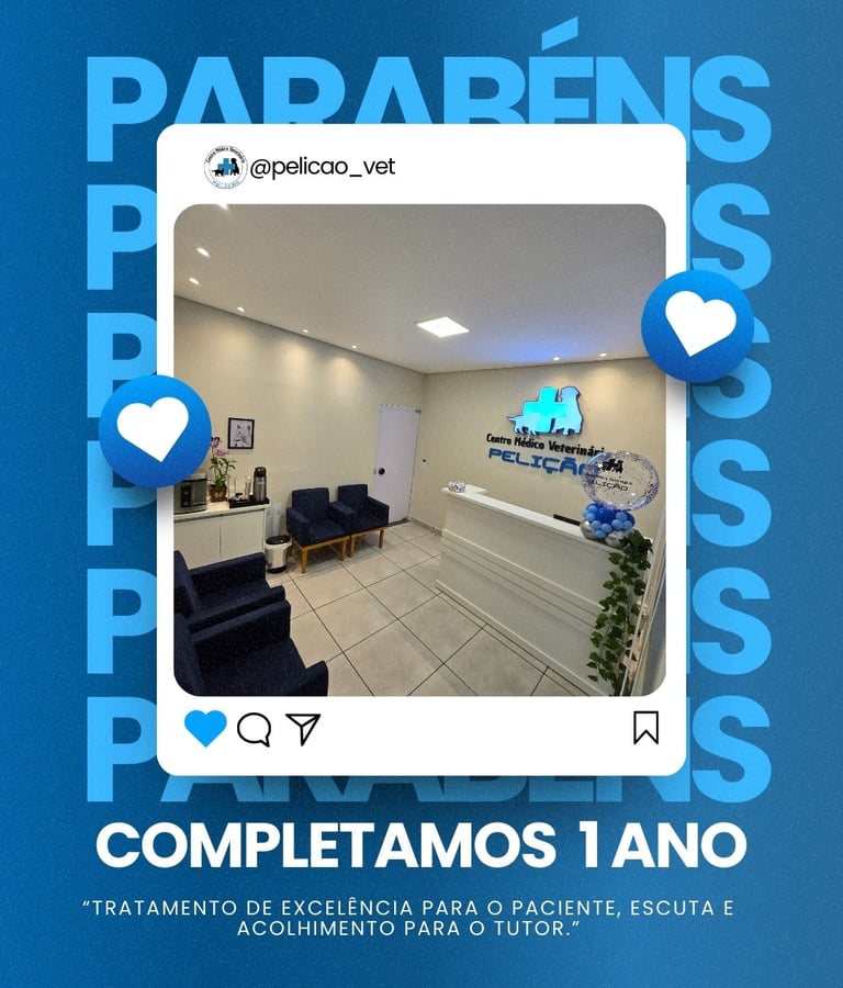 Clínica Veterinária em Três Lagoas