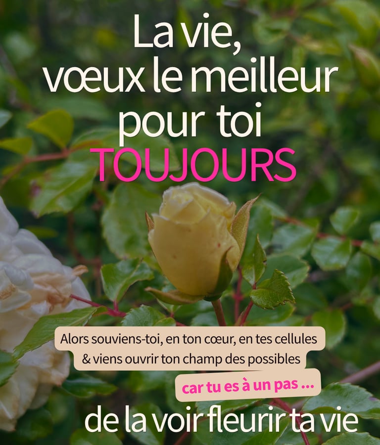 La vie voeux le meilleur pour toi