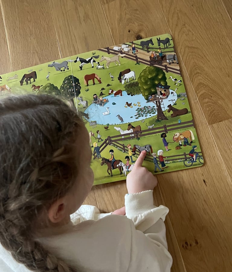 Einblick in das Wimmelbuch Pferde & Ponys