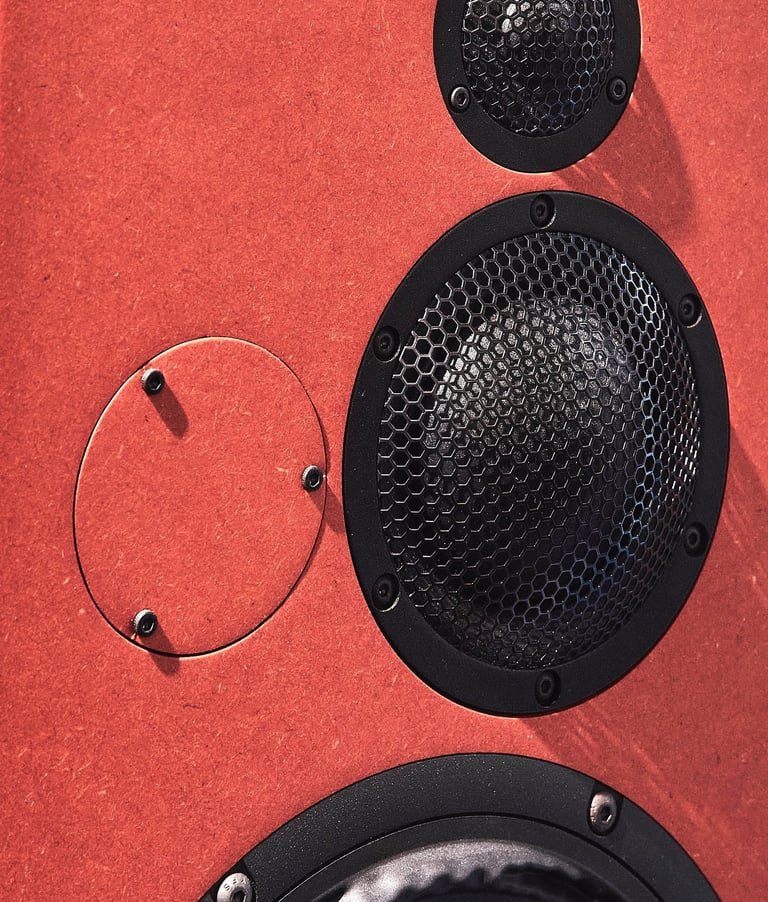 Present Day Production Studio monitor Bliesma silk mid and tweeter dome