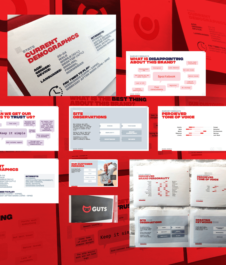 Guts research collage—demographics, survey insights, site observations, personas, TOV & branding