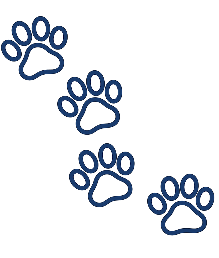 Navy outlined paw print icon representing Doo Ing It dog waste cleanup services in Salem