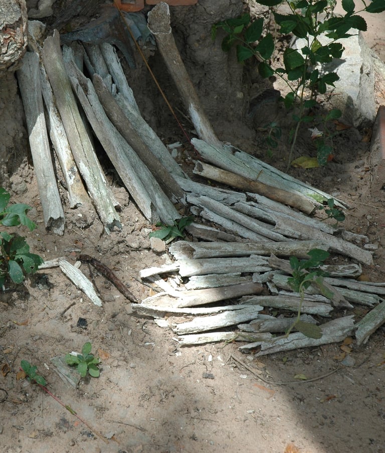 Choeung Human Bones at Choeung Ek Genocide Centre, Phnom Penh, Cambodia