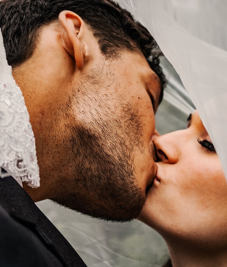 bride and groom portrait, kissing, under the veil shot