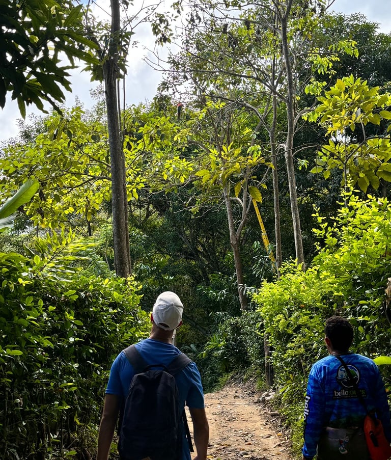 Caminata de naturaleza en Don Diego antes de llegar al rio