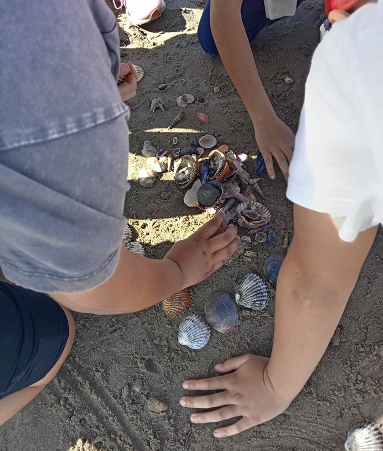 Enfants observant les coquillages lors d'une sortie éducative en plein air