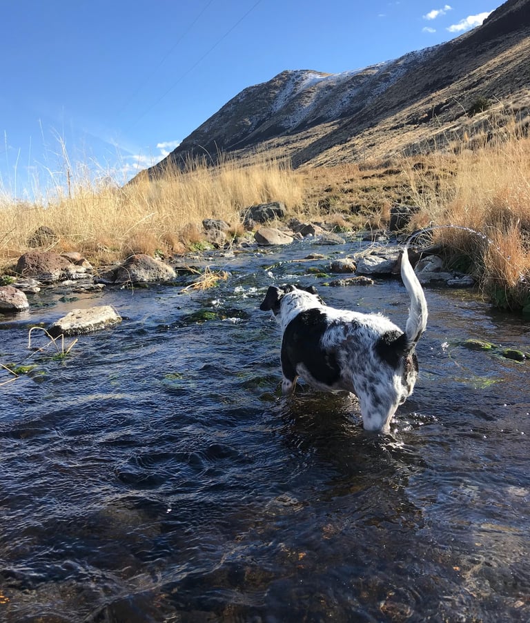 Shallow long and warm Eagleville Hot Springs