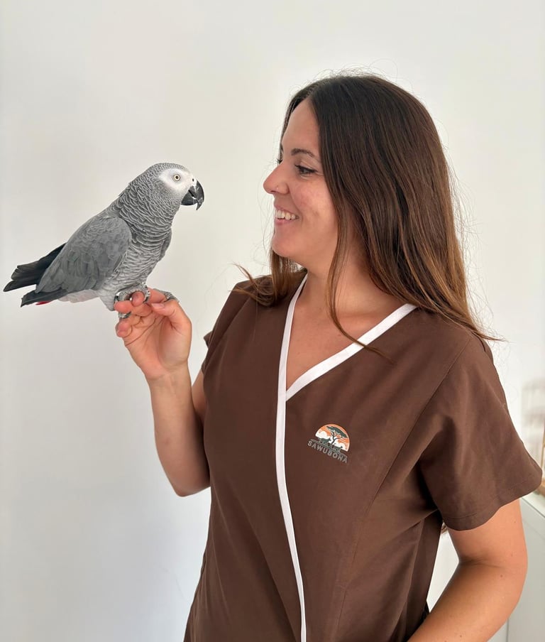 veterinaria de animales exóticos 