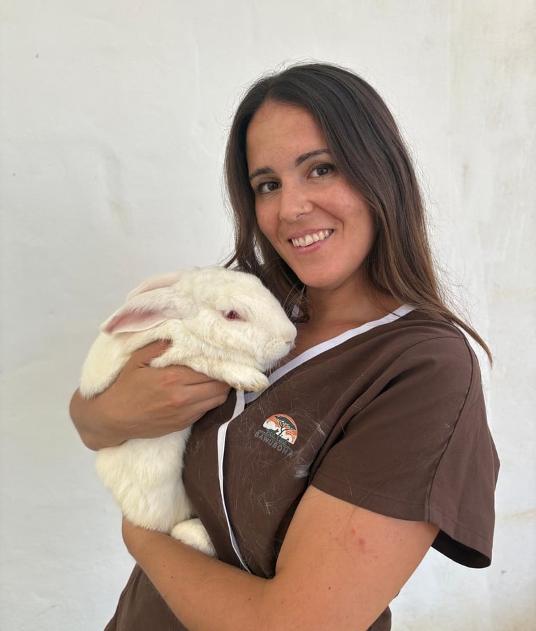 veterinaria animales exóticos
