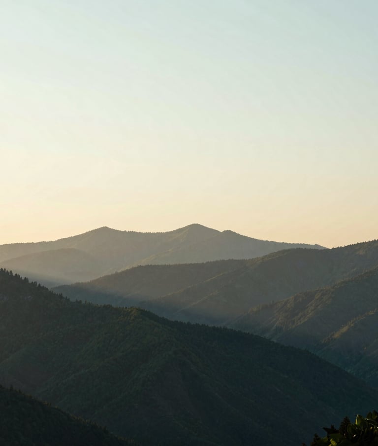 Wide shot of a North American mountain range at dawn, the peaks silhouetted against a creamy ivory and soft mint sky, deep forest green shadows in the valleys, minimalist and peaceful composition.