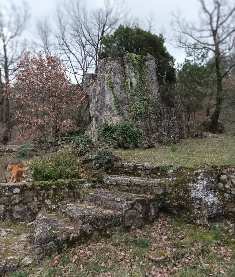 Garden steps and stone walls