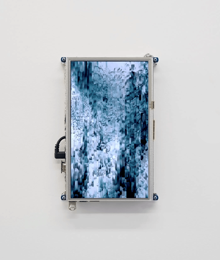 digital art, video installation,  joanna wlaszyn