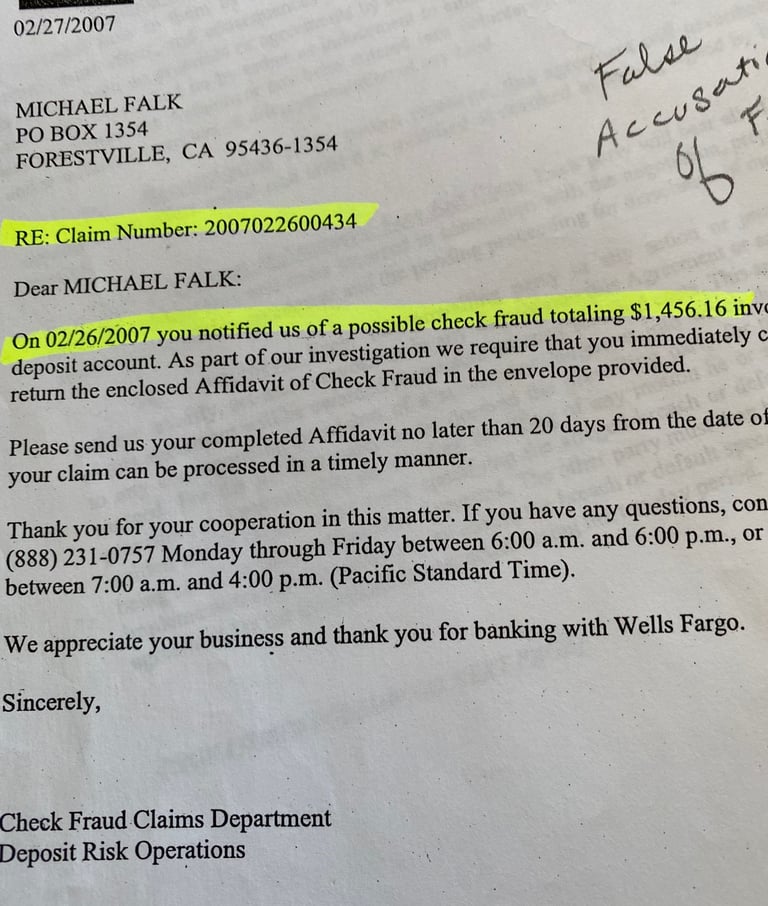 The False 2007 Michael Falk accusation