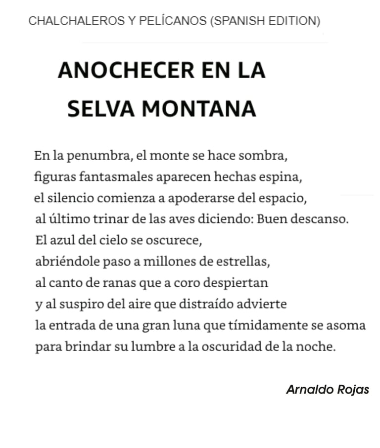 POEMA: ANOCHECER EN LA SELVA MONTANA (ARNALDO ROJAS)