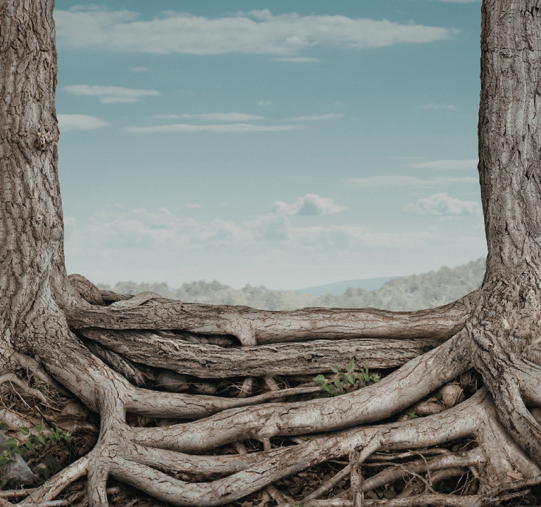 Intertwined tree roots showing strength and connectivity under a clear blue sky with mountains.