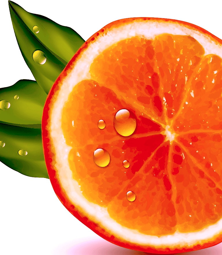 King Organic Clean, Orange icon