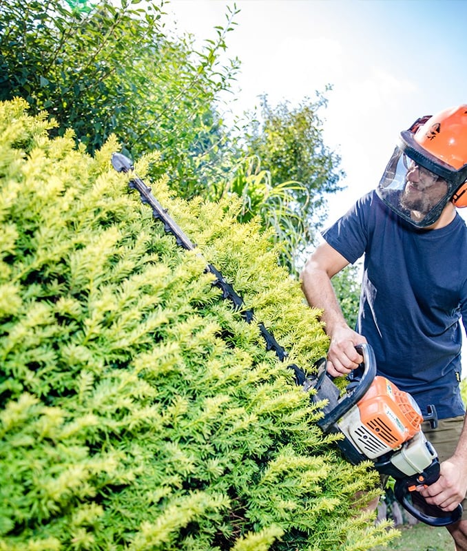Wir sind da, wenn Ihre Pflanzen uns brauchen  Auch der Garten prägt das äußere Erscheinungsbild Ihre