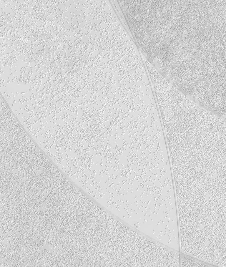 Close-up of Soft Shade Circles textured wall print highlighting details on Dimense Suede and Silver