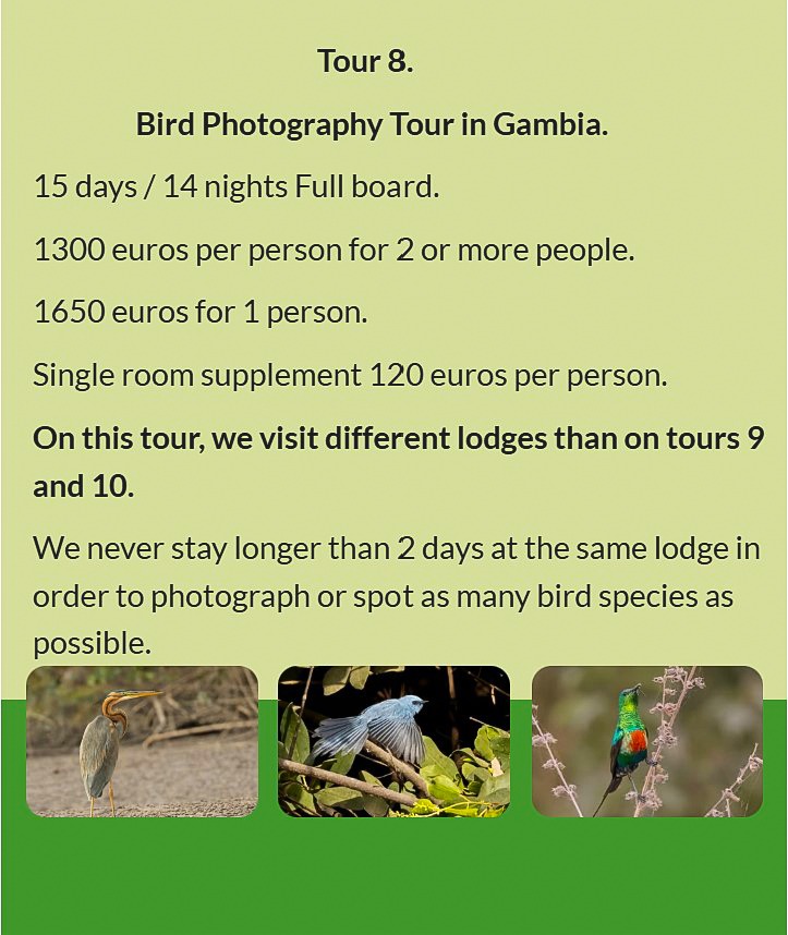 Flyer Tour 8 – 15-day bird photography Gambia tour, full board, price from €1300 per person. Include