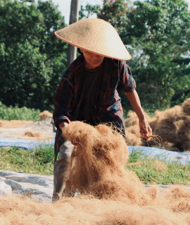 coirfiber drying process