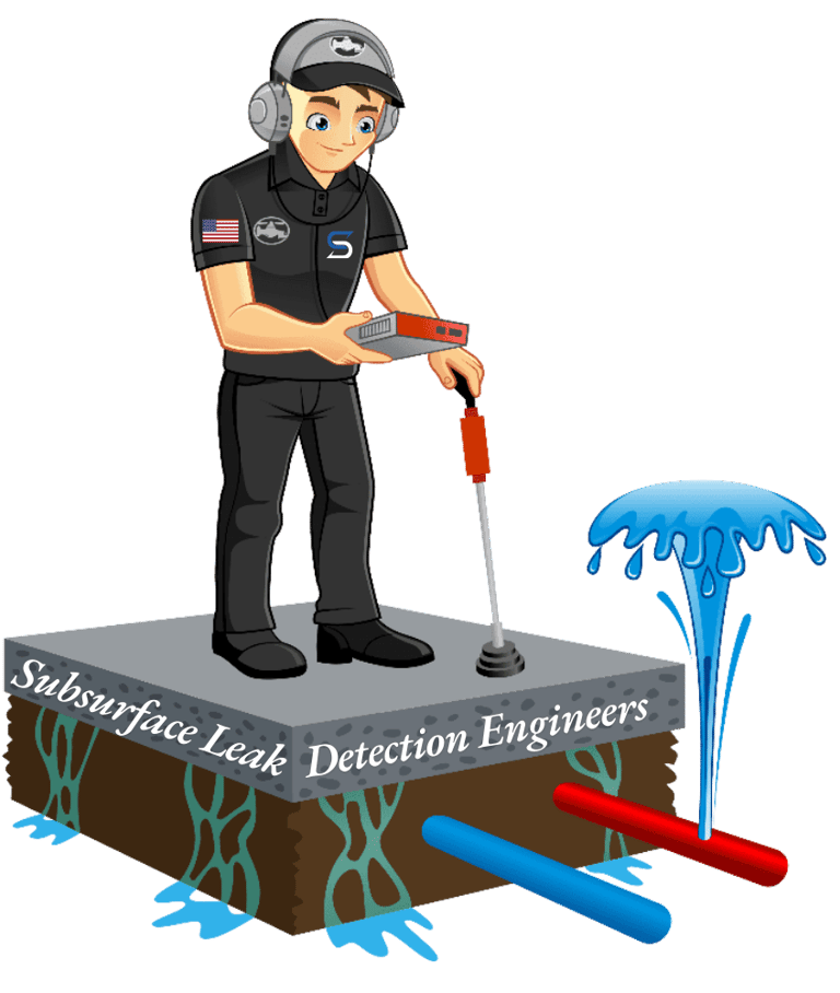 Subsurface Leak detection of Colorado Mascot