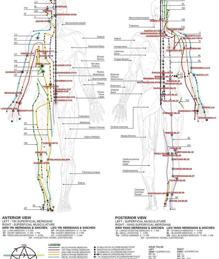 a diagram of a human body and meridian 經絡圖