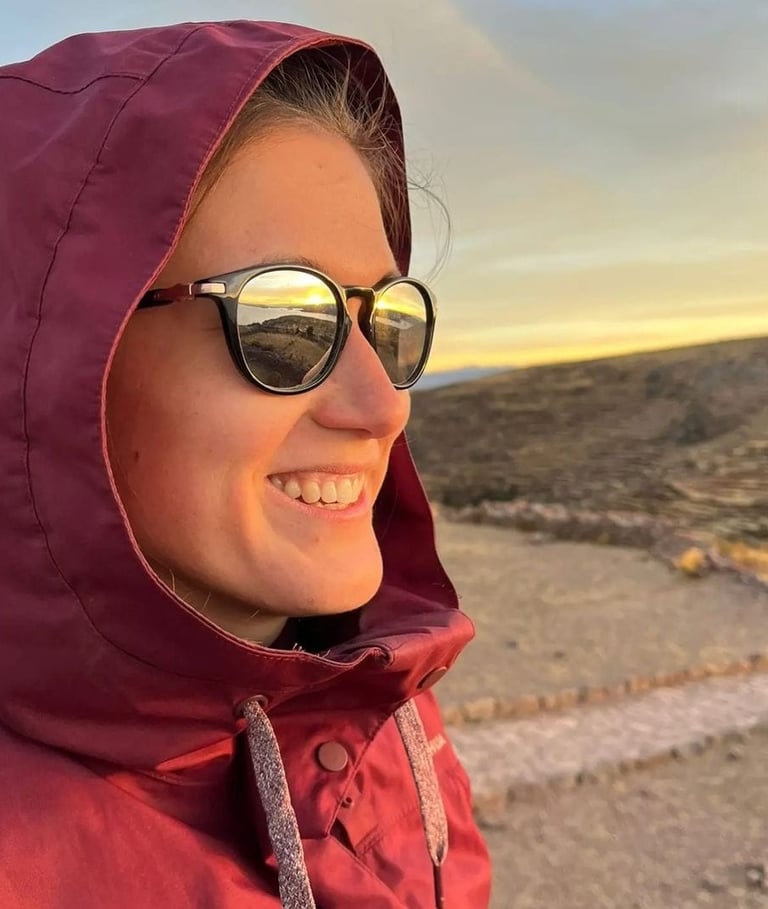 organisation voyage travel planner