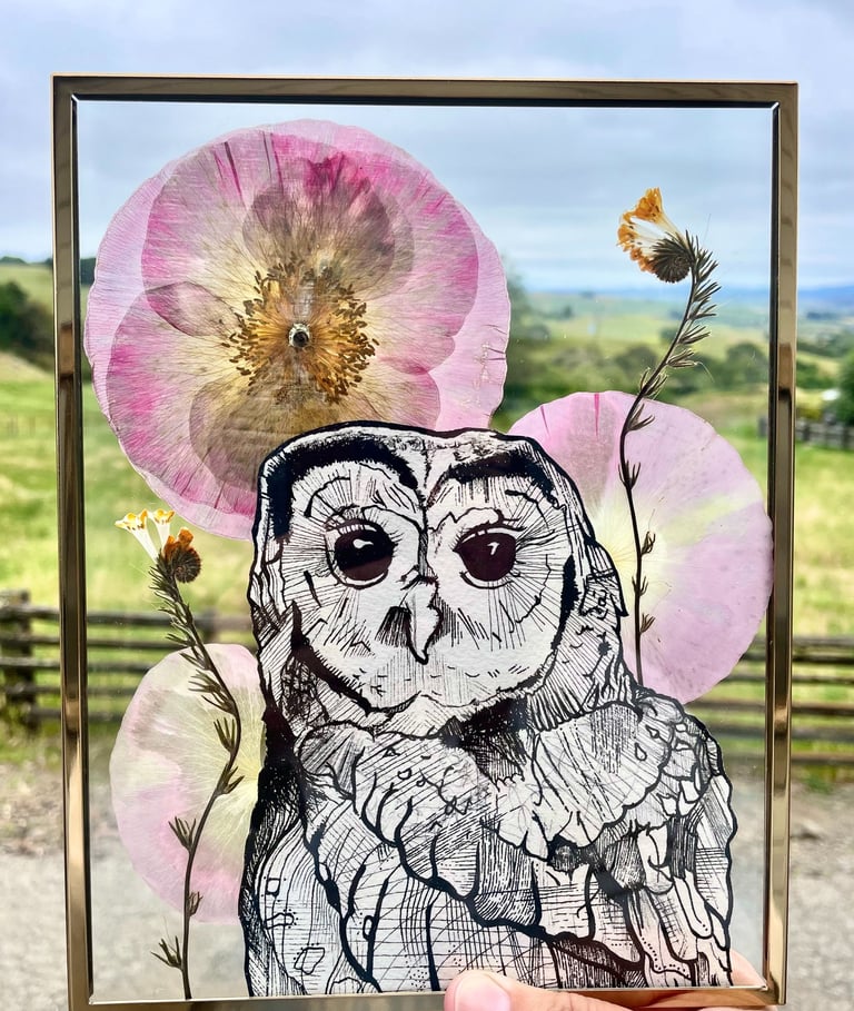 a drawing of a northern spotted owl surrounded by pressed flowers