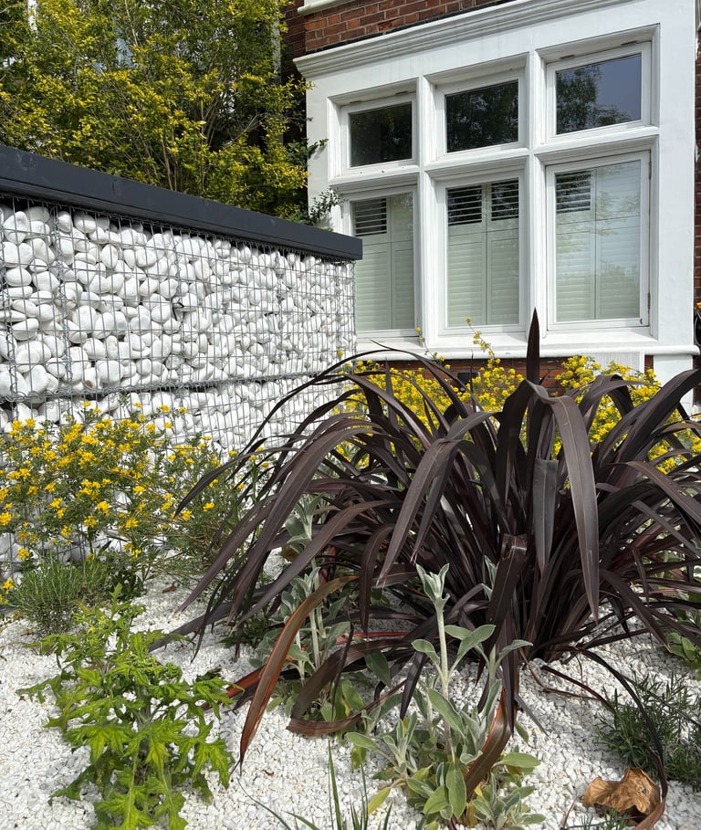 Mediterranean-style front garden in Blackheath with gravel planting and drought-tolerant perennials