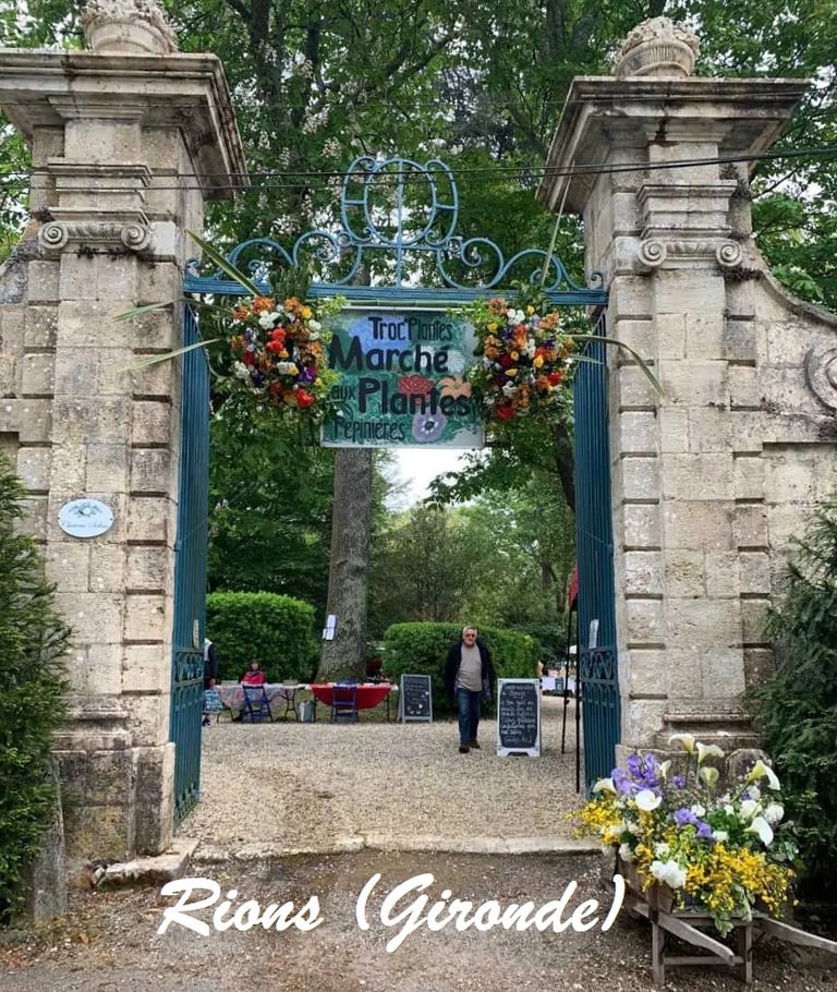 Marché aux plantes  - 1er mai 2025- Rions