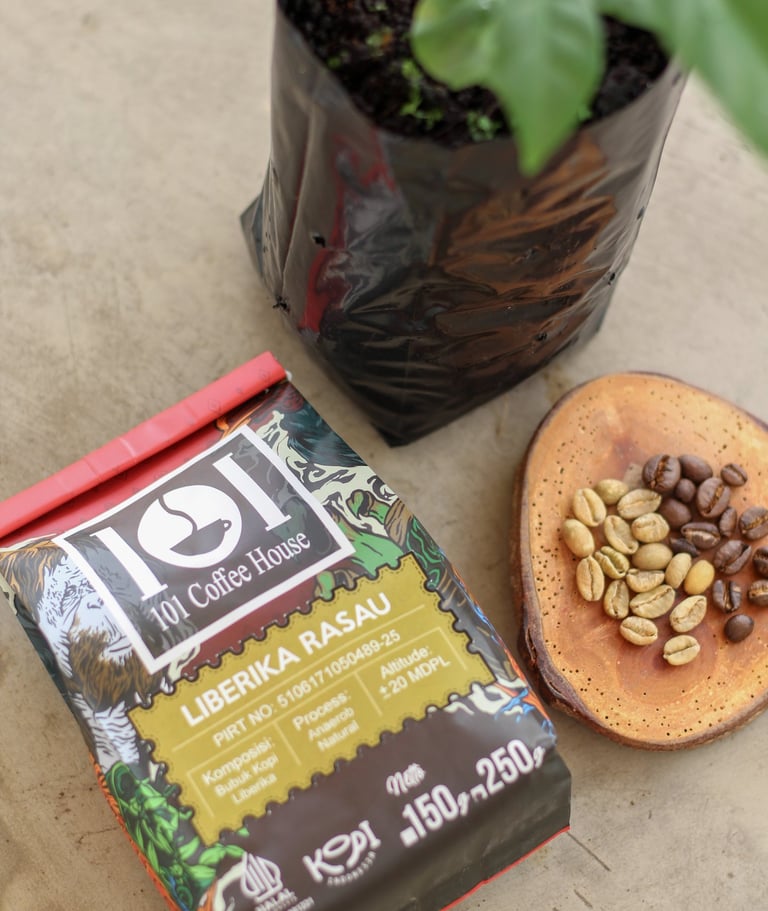 kopi liberika rasau, kuburaya, kalimantan barat produksi 101 coffee house