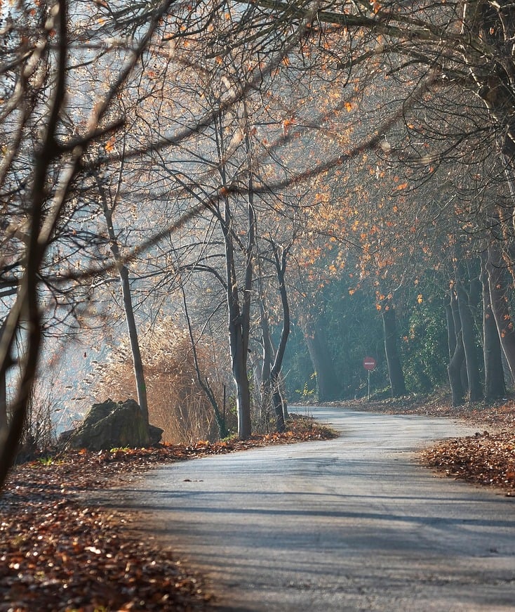 Small road on roadtrip