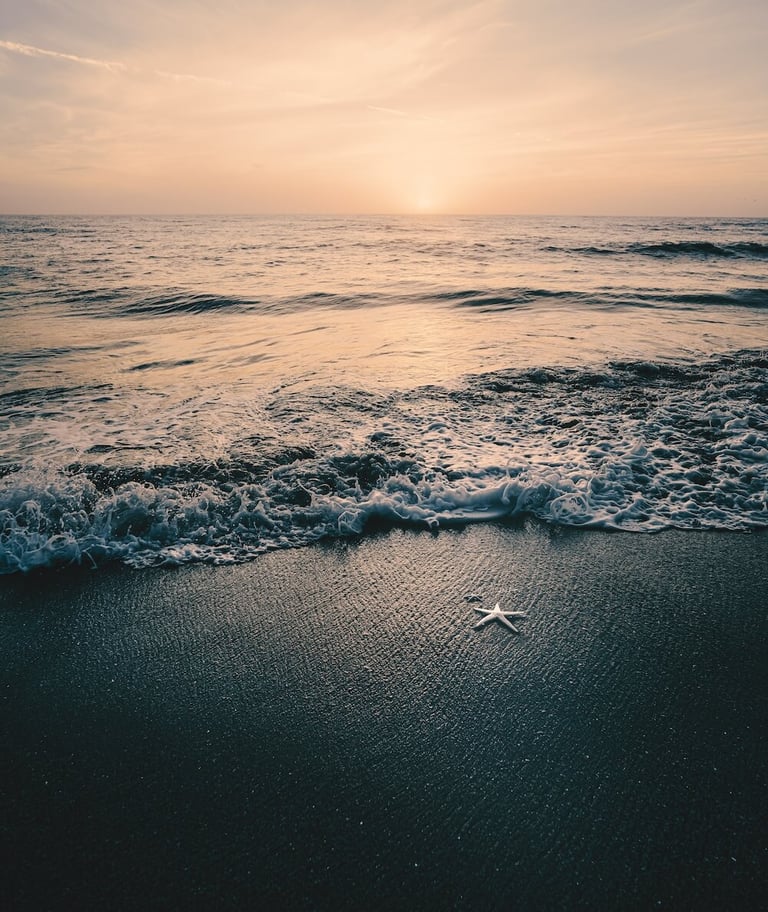 beach in monterey california