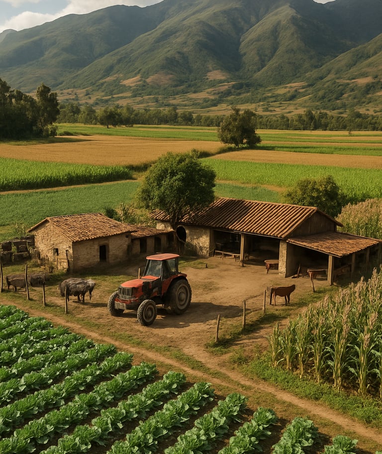 Image Journée internationale des Nations Unies pour la coopération Sud-Sud