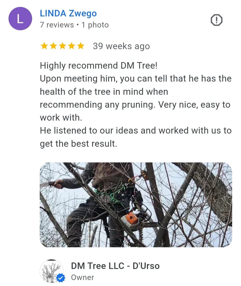 review from customer in Overland Park Kansas 