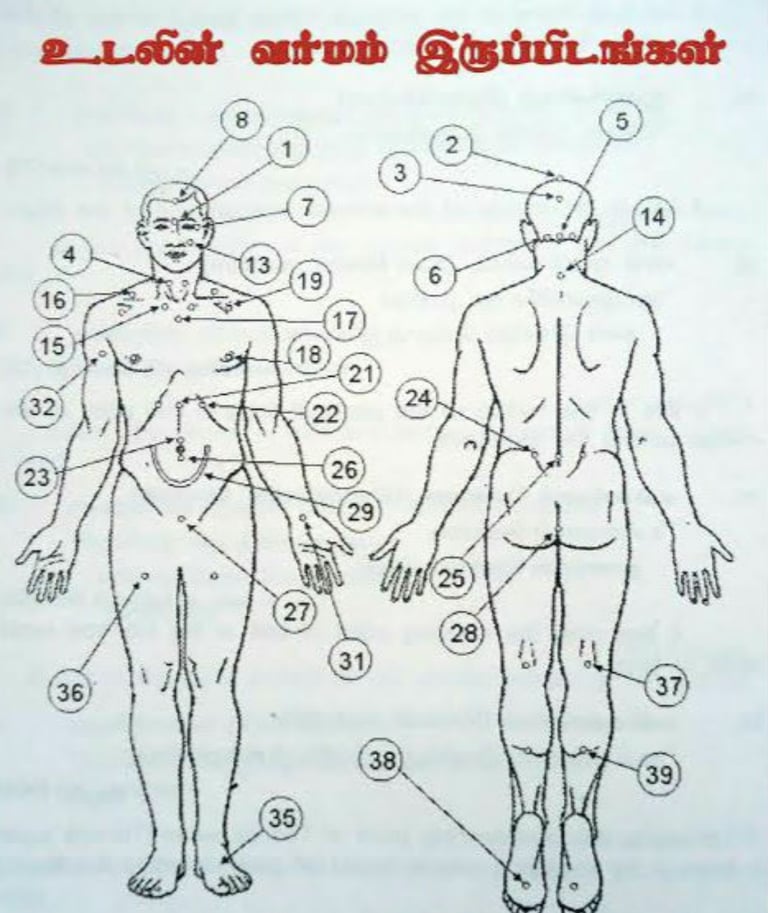 Vetrivel Health center best chiropractic and varamam theraphy 