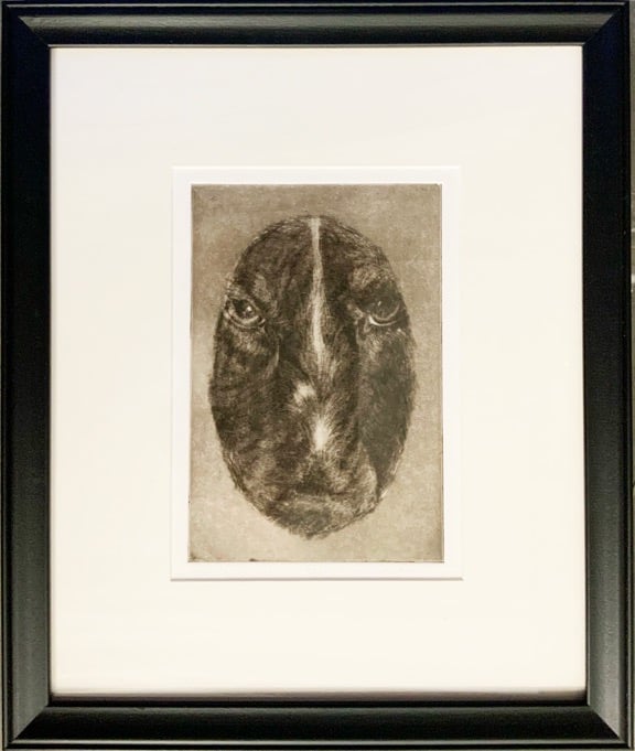 A mezzotint hand made print of an animal looking at the viewer.
