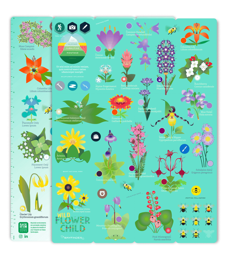 A WcoAGS gameboard to launch the Wildflower Child game with AR experiences.