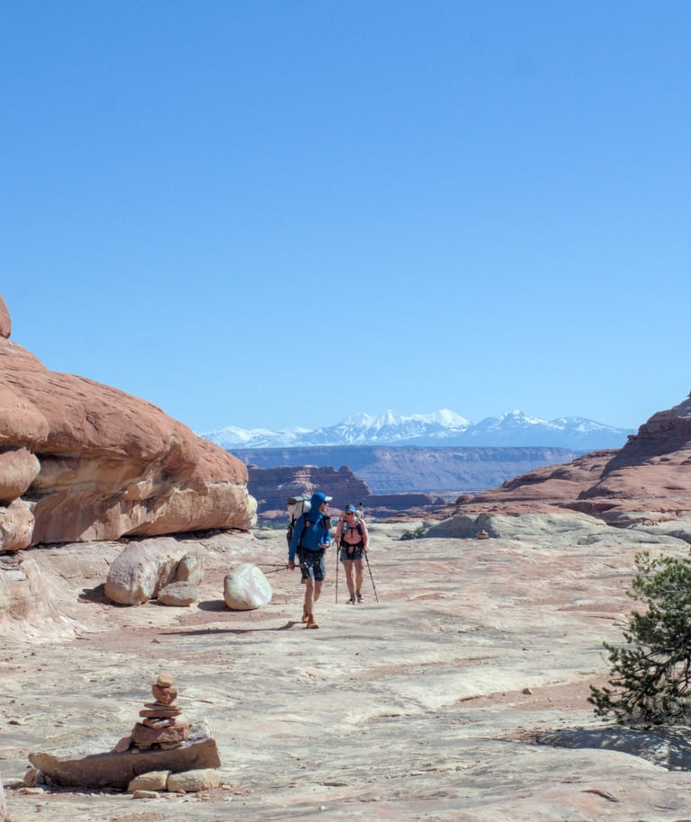 Moose and Bugs crossing a red and beige sandstone expanse in Canyonlands National Park.